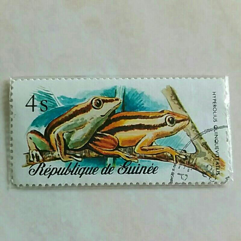 

(AA) Perangko Republik Guinea Reptiles (1977) - Five-striped Reed Frog (Hyperolius quinquevittatus) 4s Used