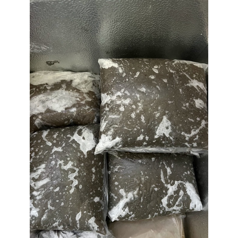 

KULIT TENGGIRI GILING 100% ASLI