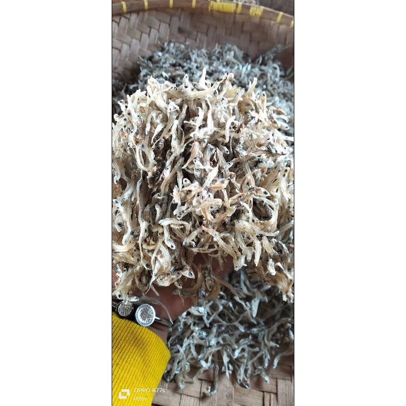 

Teri Tawar 1000gr