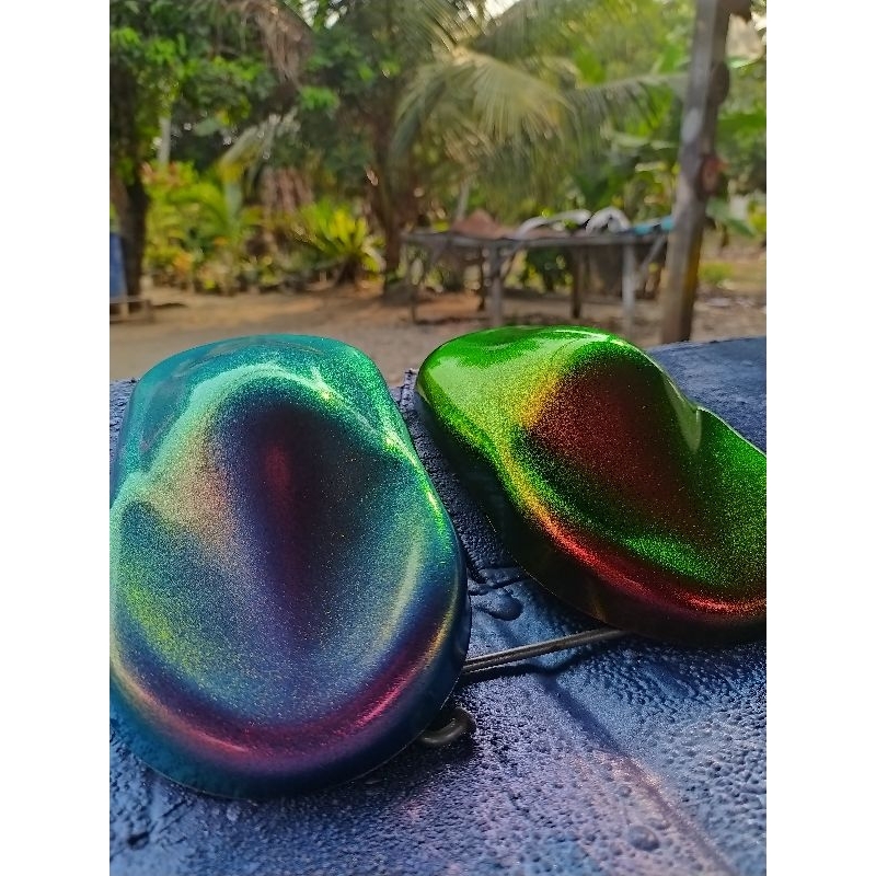 cat bunglon chameleon paint