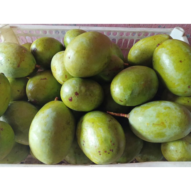 

mangga kweni