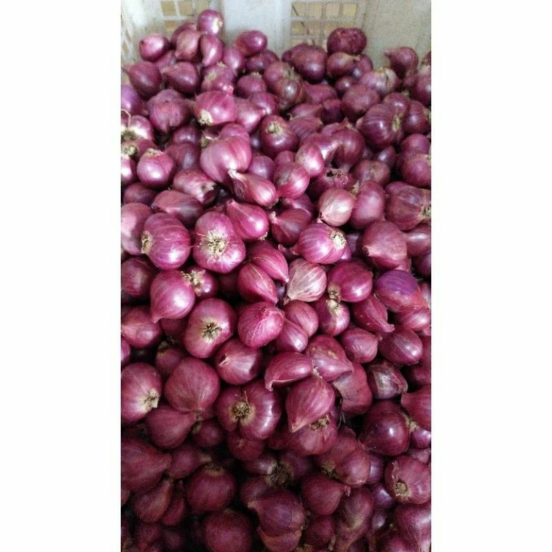 

bawang merah probolinggo 750 gram