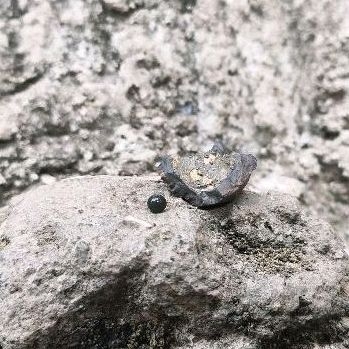 Batu mustika ireng di dalam batu koclak sir alam asli temuan sepuh kuno antik pusaka