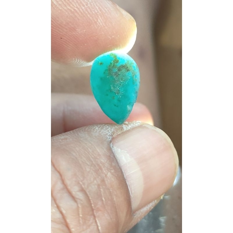 Bacan doko majiko coklat potensi giwang