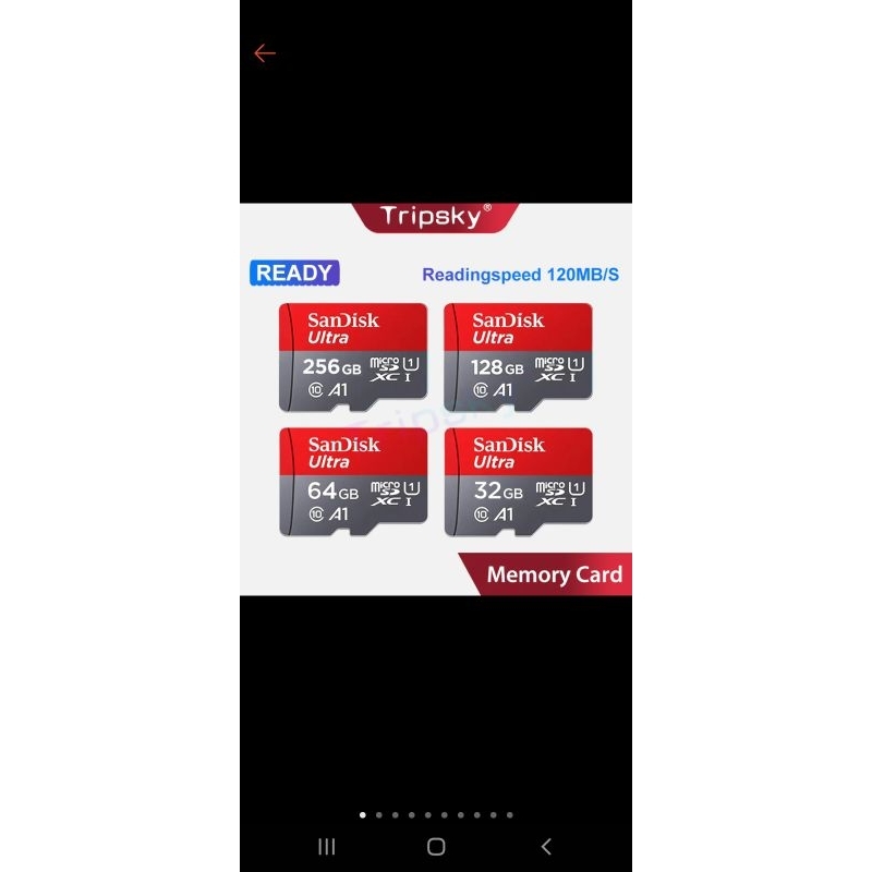 memori card sandisk 256gb