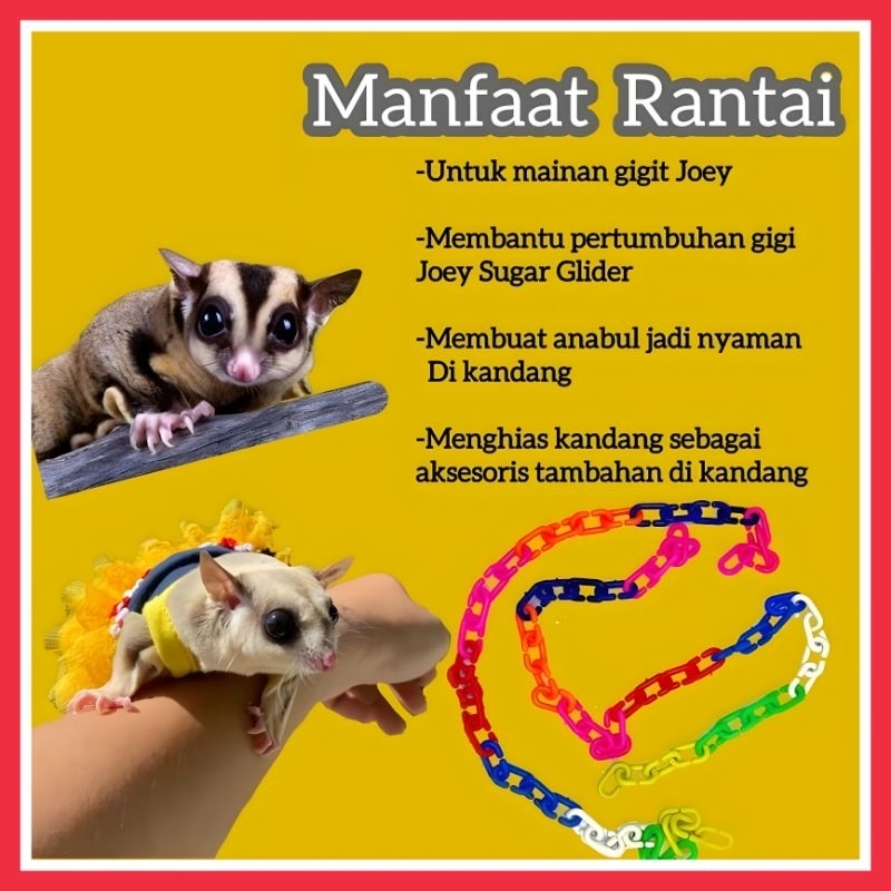 RANTAI PLASTIK 50 CM MAINAN PANJAT SUGARGLIDER &amp; BURUNG - AKSESORIS KANDANG