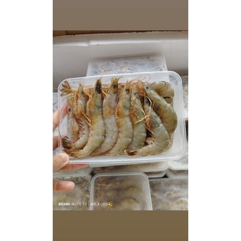 

udang dogol size 40-60/udang laut frozen 500gram/udang frozen size 40-60