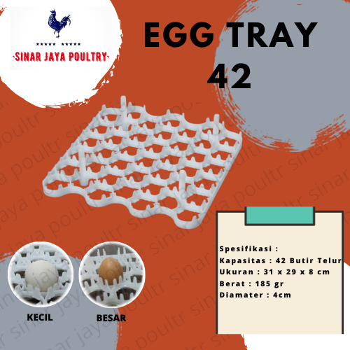 Egg tray 42 besar bebek ayam kampung / kecil putih / eg trey / penyimpanan telur / tempat taro telor / tempat penetasan telur