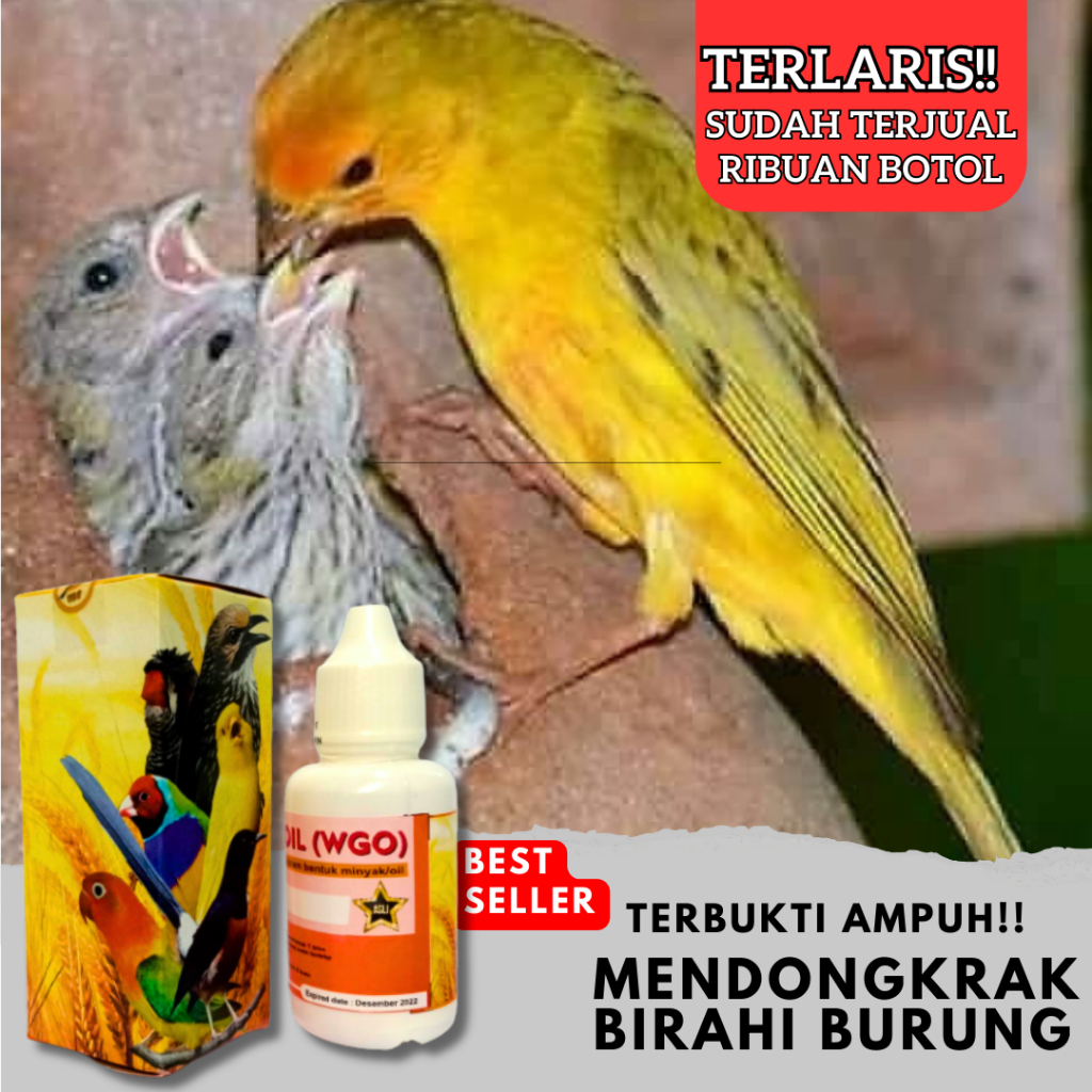 VITAMIN TERNAK BURUNG KENARI, TERBUKTI AMPUH