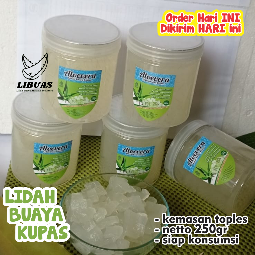 

LIDAH BUAYA KUPAS 250gr | 100% Organik | Nata de Aloevera