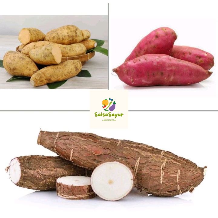 

Ubi Kayu Singkong / Ubi Putih / Ubi Merah / Kimpul(talas)