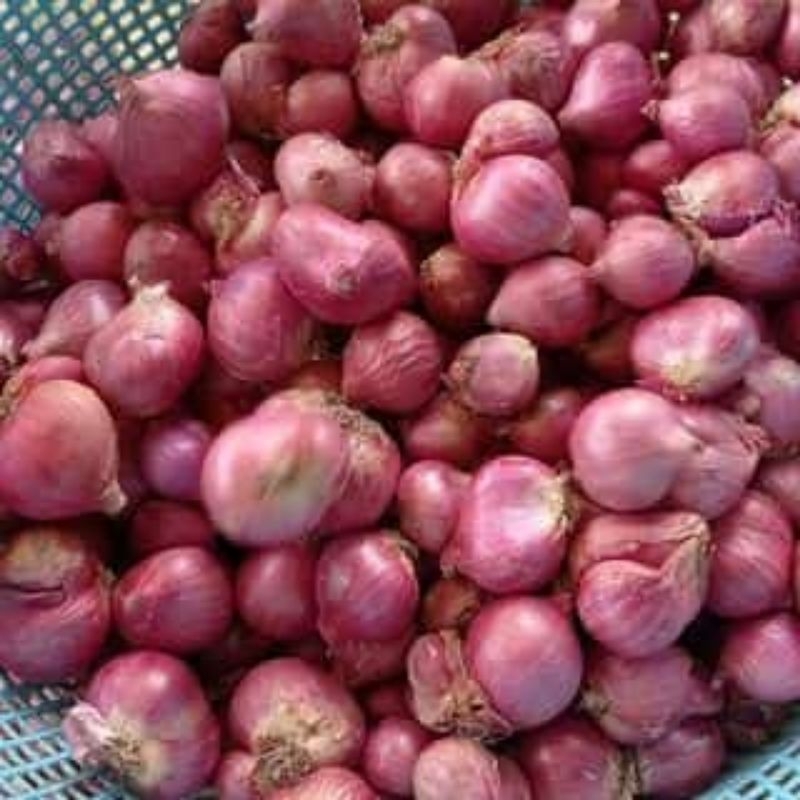 

bawang merah