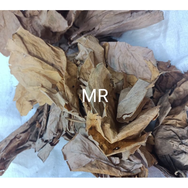 

Daun talas kering prakarya 100 gram
