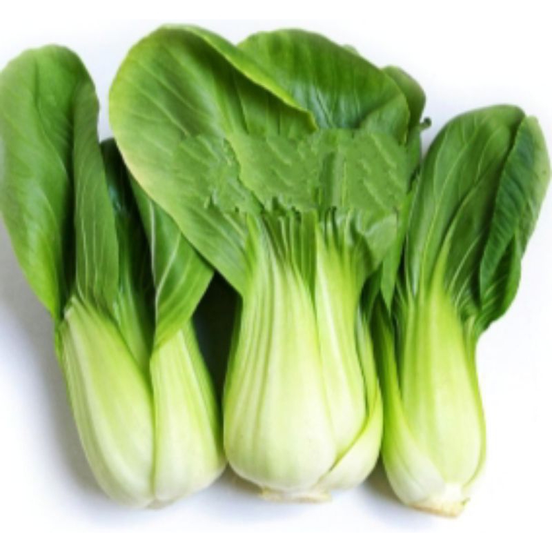 

Sayur PakCoy 500 gr segar