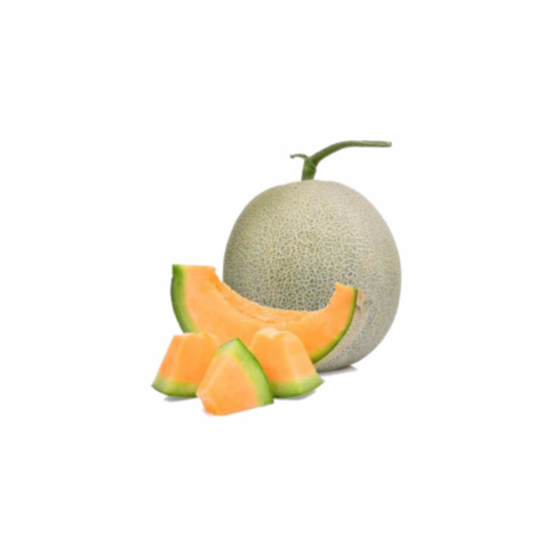 

GM Melon Sakata Hidroponik 1.5 - 2.5Kg