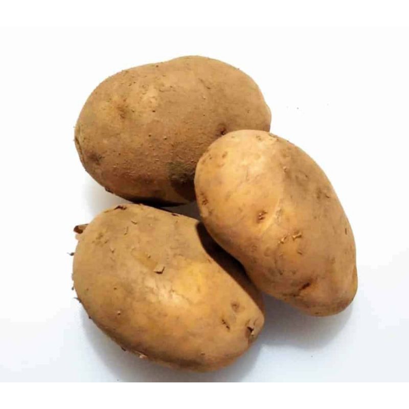 

KENTANG DIENG SUPER 1 KG