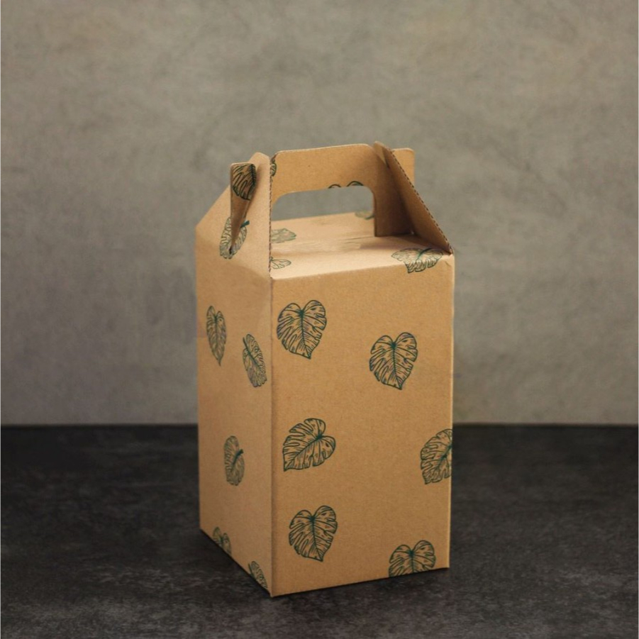 

(10pcs) DUS JINJING DIE CUT KARDUS TENTENG BOX PARCEL TOPLES 250GR 250 GRAM ISI 3 HANTARAN PACKAGING HAMPERS PARCEL KUE KERING