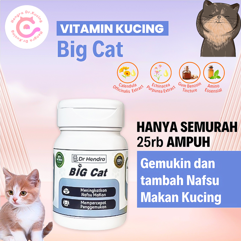 Vitamin Kucing Nafsu MakanVitamin Nafsu Makan dan Penggemuk Kucing Penambah Nafsu Makan Kucing Vitam