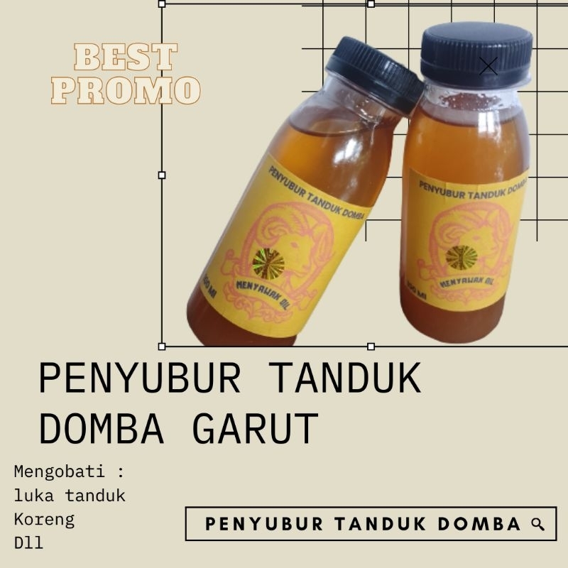 Perangsang Tanduk domba Garut