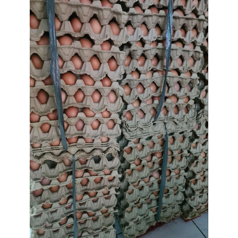 

Telur Ayam Negri 30 Butir