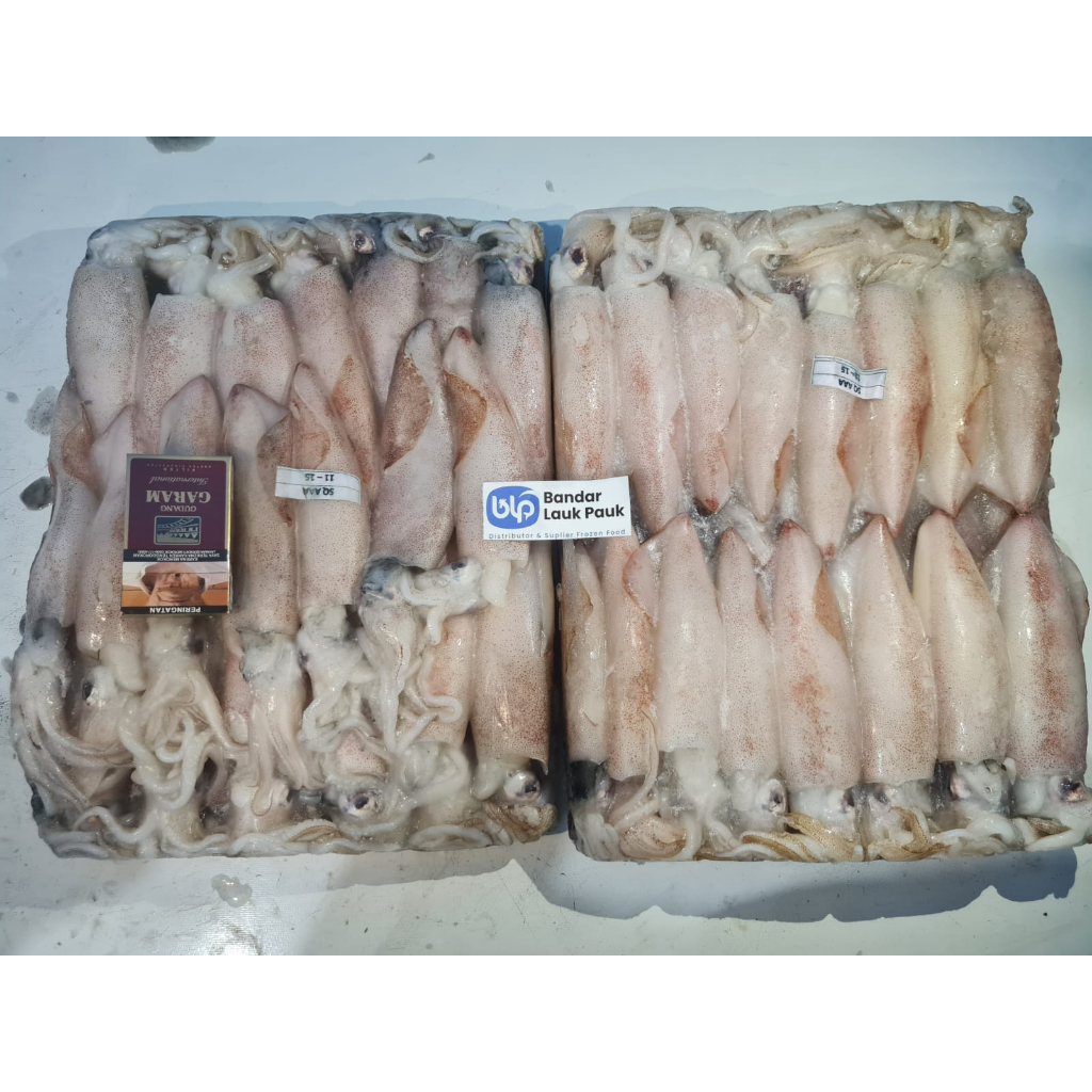 

Cumi Bangka Super Premium /1kg