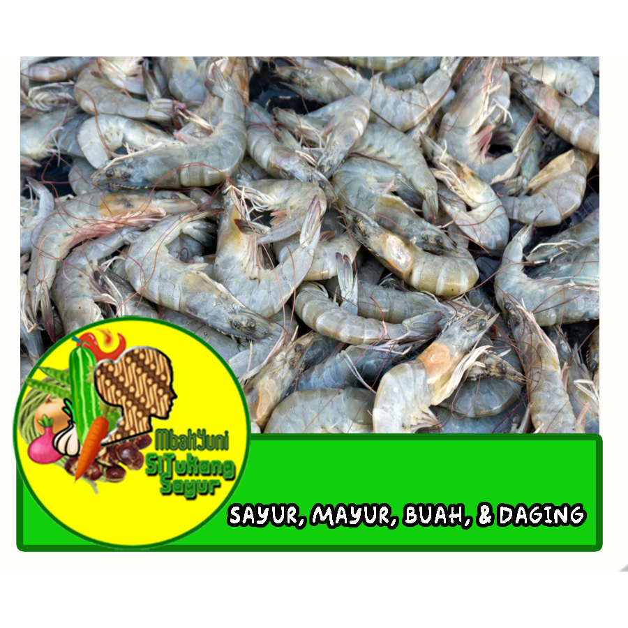 

Udang 500gram