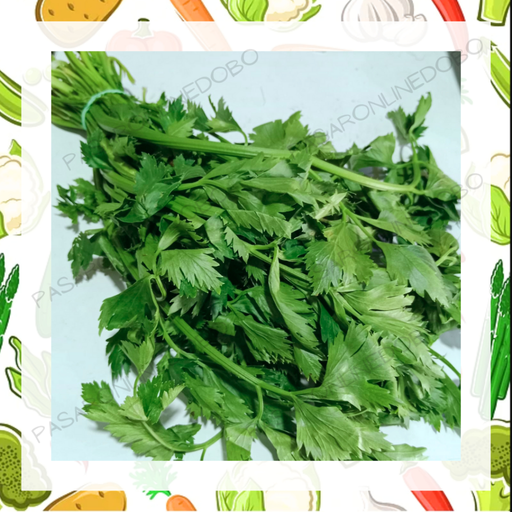 

DAUN SELEDRI