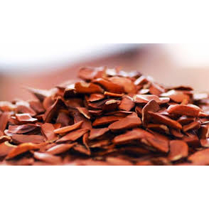 

BIJI TANAMAN POHON MAHONI 1KG BERKUALITAS