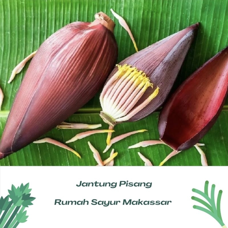 

jantung pisang per buah