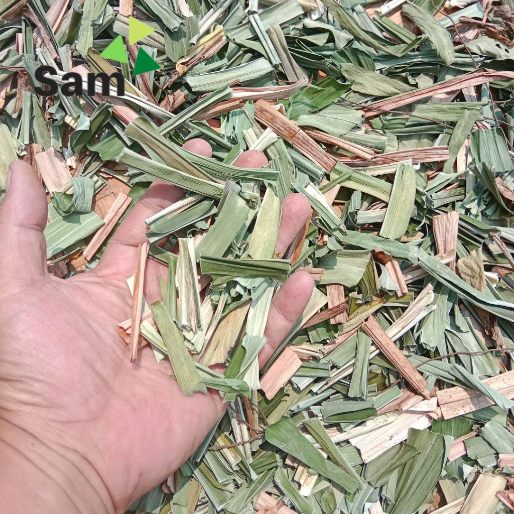 Teh daun pandan kering 40 gram - Simplisia daun pandan untuk meringankan penyakit rematik