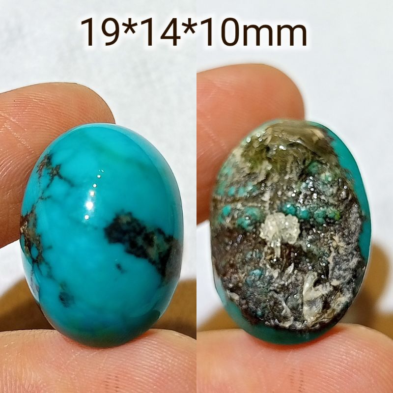 pirus Persia tosca munbul