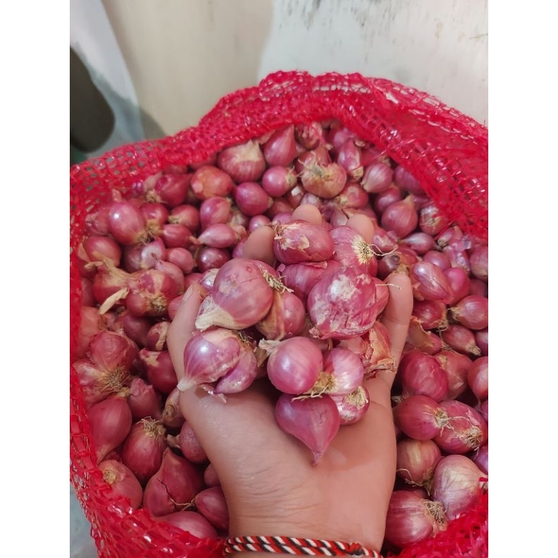 

BAWANG MERAH 1 KG LOKAL BESAR