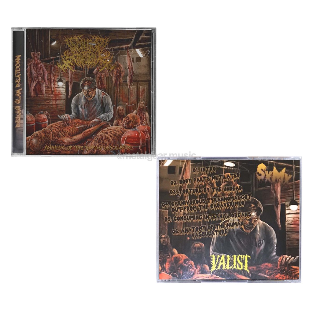 ORIGINAL CD SENSOR MOTORIK - ANATOMY