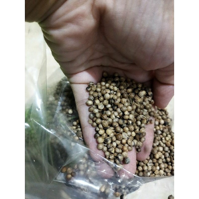 

ketumbar organik hitam premium 100gram