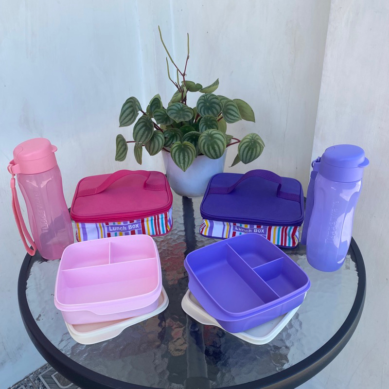 Bekal Sehat Tupperware / Lolly Tup Set