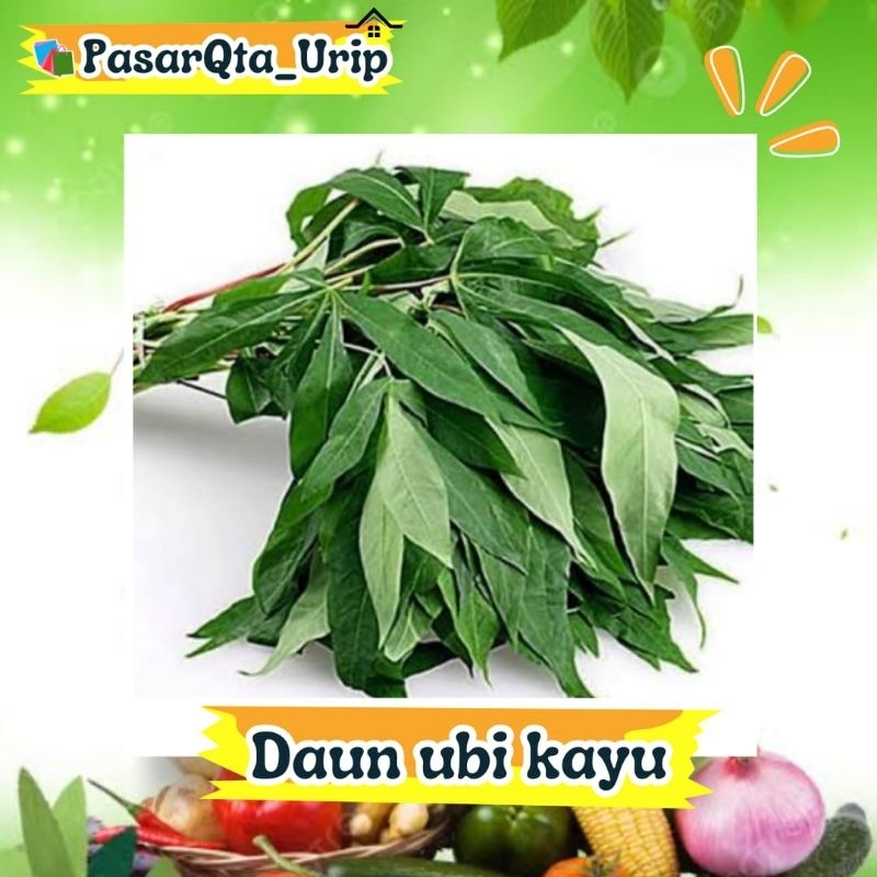 

Daun ubi kayu per ikat/ Daung singkong / Pasar sayur Makassar