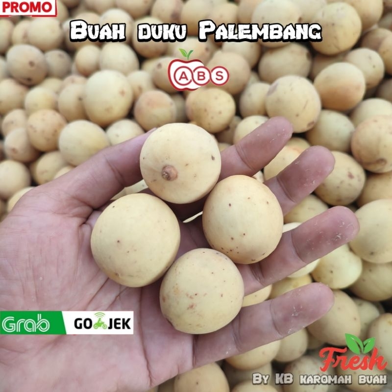 

Buah duku Palembang kompreng 1kg / buah duku jamin manis Palembang punya