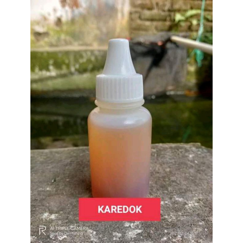 Essen oplosan karedok ikan mas