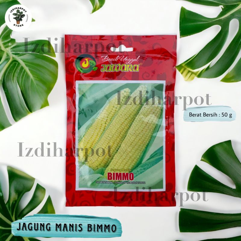 Benih Bibit Jagung Manis Bimmo Benih Unggul Jawara - JAGUNG MANIS BIMMO