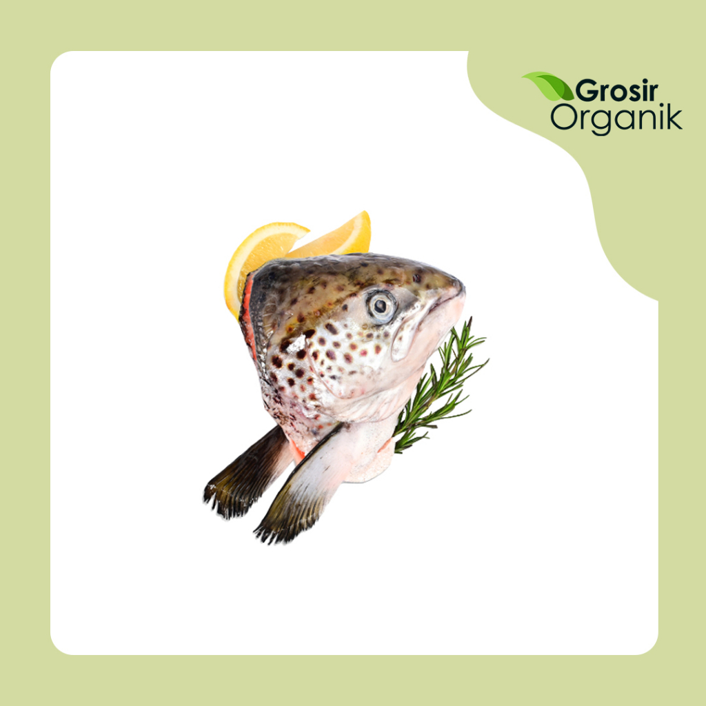 

Kepala Ikan Salmon Beku / pcs