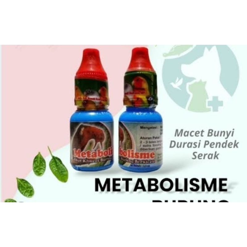 metabolis