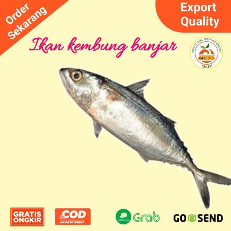 

IKAN KEMBUNG BANJAR 500gr