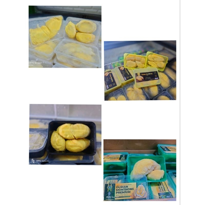 

Durian Montong Palu