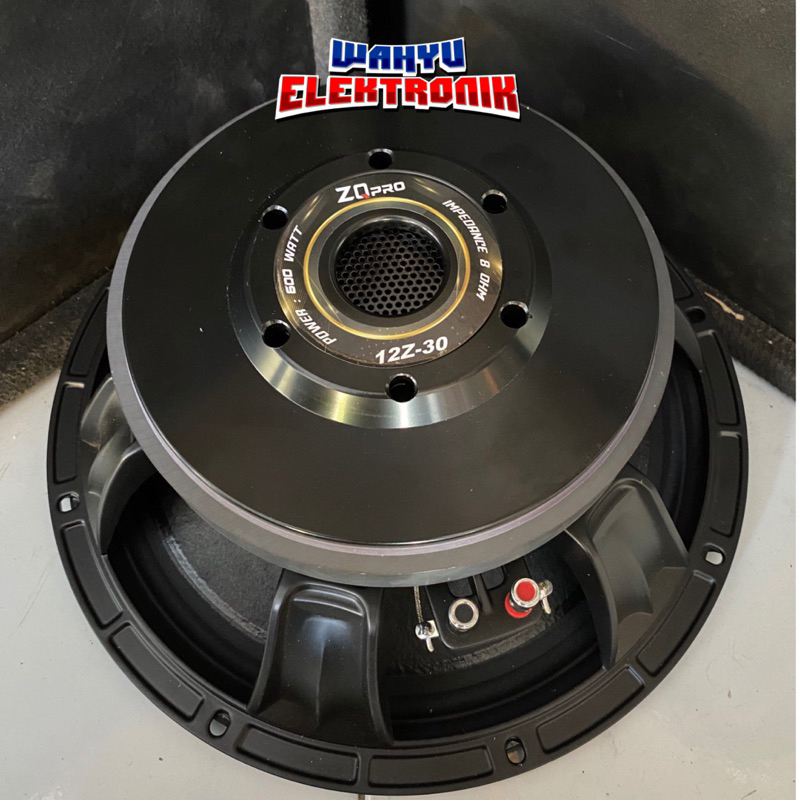 Speaker Zqpro 12z30/12inch coil 3inch