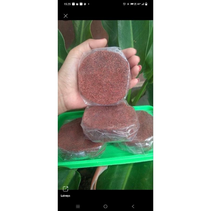 

Terasi Khas Lombok