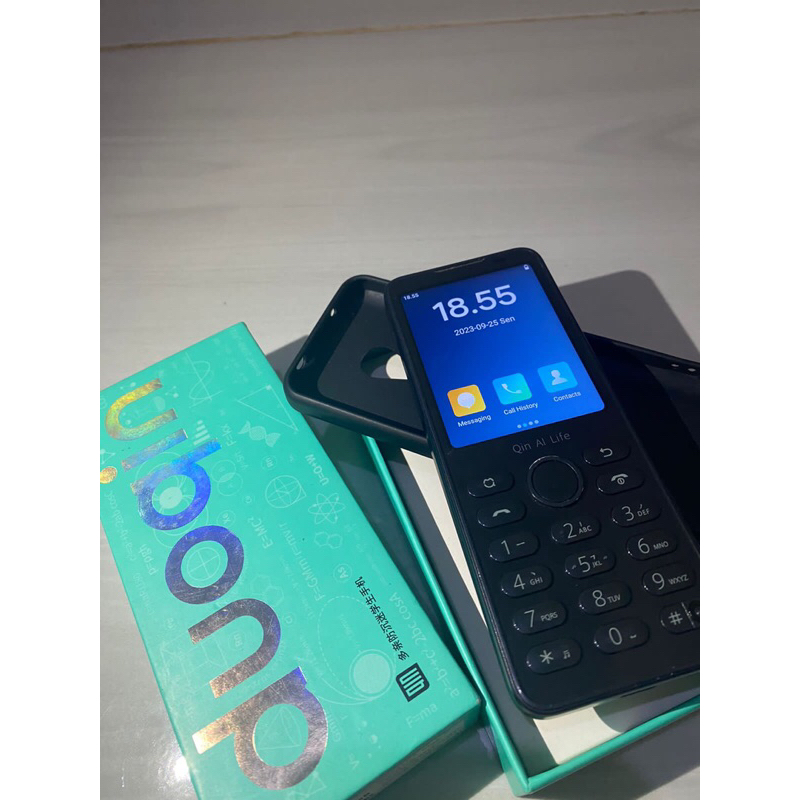 QIN F21 PRO Global Version 4/64