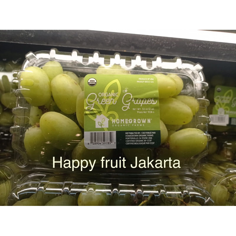 

Anggur green Organik garing manis jumbo | Buah anggur envy organik
