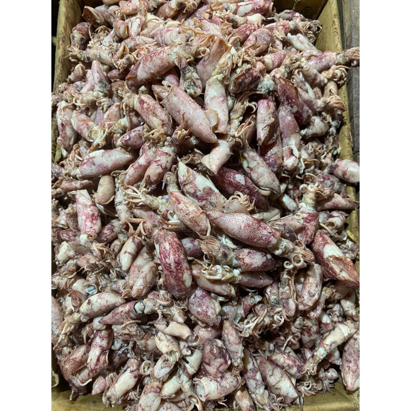 

Cumi Asin / 250 gram