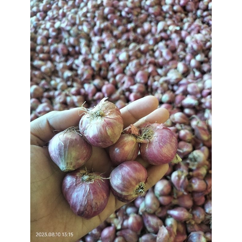 

Bawang Merah / Brambang 500gr