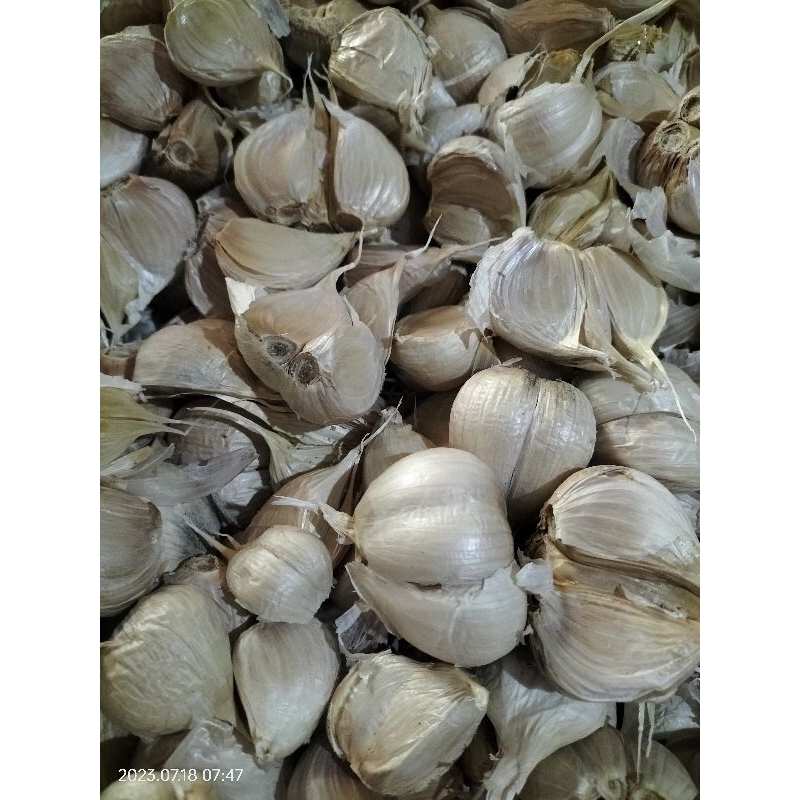 

Bawang Kating 500gr